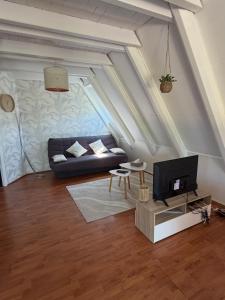 a living room with a couch and a tv at Chalet 6 à 8 personnes in Drulhe