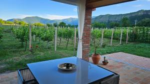 a table on a patio with a view of a vineyard at Villa Lazarina Vineyard Views in Kvareli
