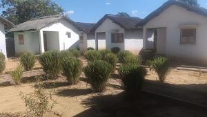 a group of houses with plants in front of them at FG Bungalow Bar in Ianakandrarezo