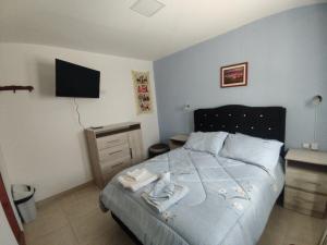 a bedroom with a bed and a television in it at Hostal La Candelaria in Humahuaca