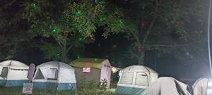 a group of tents in front of trees at night at eco friendly camping site pahalgam in Pahalgām