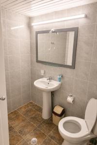 a bathroom with a sink and a toilet and a mirror at Tuz House R7 in Bakuriani +10 photos