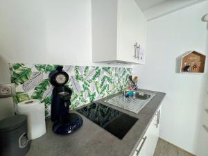 a kitchen with a sink and a clock on a counter at La Palmeraie, Duplex in Bar-le-Duc