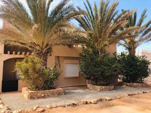 two palm trees in front of a house at Villa Azal in Mirleft