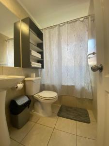 a bathroom with a toilet and a shower with a curtain at Amoblados Copiapo in Copiapó +6 photos