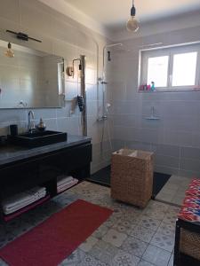 a bathroom with a sink and a shower at Mon Petit Château Grand appartement de 120 m2 in Pajay +20 photos