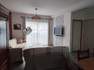 a living room with a bed and a tv at Gîte Les Marettes in Beaudéduit