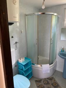 a bathroom with a shower and a toilet and a sink at Vila Ruška in Prčanj +33 photos