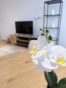 a vase with white flowers sitting on a table at Sarah Doe Apartman in Nyíregyháza