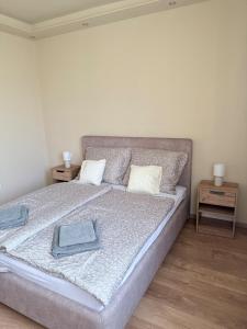 a bedroom with a large bed with two night stands at Sarah Doe Apartman in Nyíregyháza