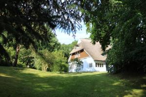 a house on a green lawn with trees at Haus Koppelweg FW-Fisch in Ahrenshoop