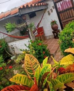 a garden in front of a house with plants at Toucherit Standar triple in La Asunción