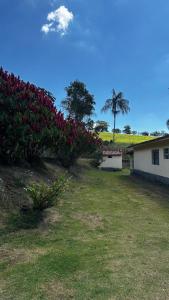 a yard with pink flowers and a building and a house at Recanto 2 irmãos in Socorro