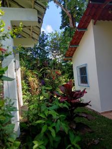 an entrance to a garden with plants and a building at PETIT PARADIS CABAÑA Catemaco Rainforest Nature in Catemaco
