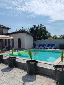 a swimming pool with palm trees in pots at Complexul Profestur in Valea Dragului