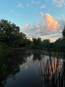a view of a pond with clouds in the sky at Complexul Profestur in Valea Dragului