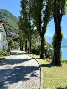 a cobblestone road with trees on either side at Siham lake home in Verceia
