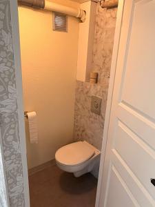 a small bathroom with a toilet and a sink at Villa Barkaboda in Barkaboda +32 photos