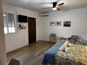a bedroom with a bed and a flat screen tv at Patio de Los Barberos 3 in Valle de Abdalagís