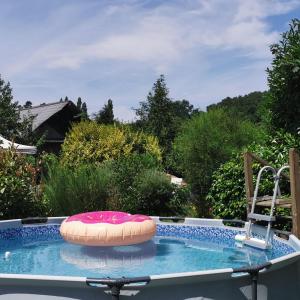 ein Schwimmbecken mit einer rosa Schwimminsel im Wasser in der Unterkunft Grand lodge du Pin 15 pers & salle fêtes in Languidic