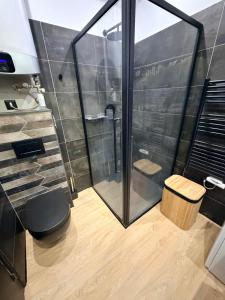 a bathroom with a shower with a toilet and a stool at Studio LA PETITE PAUSE in Ajaccio +2 photos