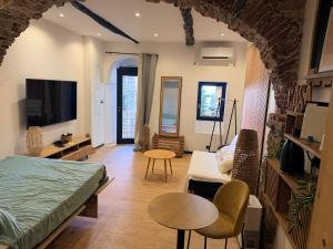 a room with a bed and a tv and a couch at Studio LA PETITE PAUSE in Ajaccio