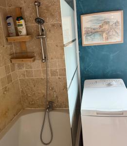 a shower in a bathroom with a toilet at Le perchoir de St-Antoine - Centre historique d'Honfleur avec vue sur le port, jeux, prime, vinyles in Honfleur +29 photos