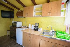 a kitchen with a sink and a counter top at Rankine Kolibe in Kladovo