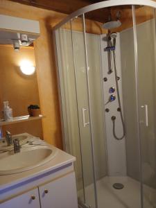 a bathroom with a shower and a sink at gite du coin in Cunlhat