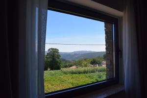 a window with a view of a field of crops at Alojamento Madeira`s in Videmonte