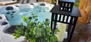 a candle and a potted plant in front of a sink at Studio apartman King with private jacuzzi and sauna in Štakorovec
