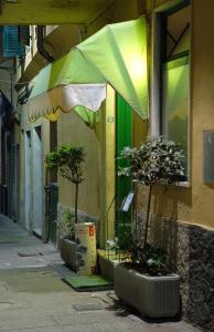 a green umbrella and two potted trees on a street at Hotel Major in Genova