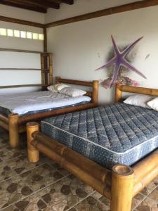 two beds in a room with a starfish on the wall at Renacer de Gaia 888 in Mompiche