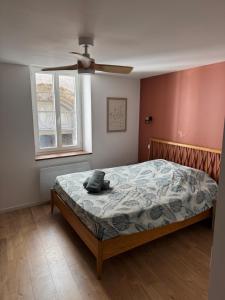 a bedroom with a bed and a ceiling fan at La Pépite du Centre Historique - 7 minutes à pied de la Gare - 1er étage - Netflix in Valence