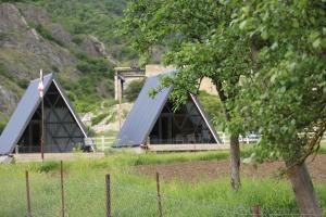 a couple of barns in a field with a tree at smile cottage in Borjomi +12 photos