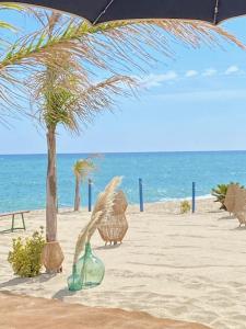 a palm tree on the beach with an umbrella at Cosy studio au centre ville in Perpignan