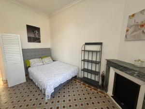 a bedroom with a bed and a fireplace at Cosy studio au centre ville in Perpignan