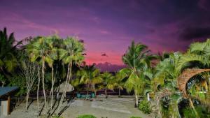 a group of palm trees on a beach at sunset at Beachfront Bungalow-Pool & Oceanfront-Views-Golf in Seine Bight Village