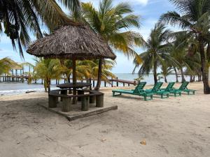 a picnic table and chairs on a beach with palm trees at Beachfront Bungalow-Pool & Oceanfront-Views-Golf in Seine Bight Village