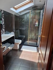 a bathroom with a shower and a toilet at Casita relax Amariz Loureiro in Oya