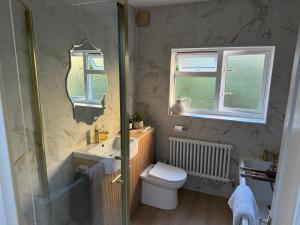 a bathroom with a shower and a toilet and a sink at Penderels, Willersey in Broadway