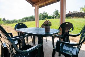 a table with chairs and a potted plant on a porch at Apartma Luketovi in Vojščica