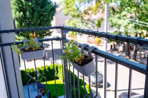 two potted plants on a railing on a balcony at Central Apartments Premium in Goleniów