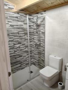 a bathroom with a shower and a toilet in it at Apartamentos Playa Frejulfe in Paderne +9 photos
