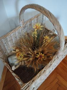 a basket with flowers in it on a table at Apartmani Zara & Duje in Bibinje +20 photos