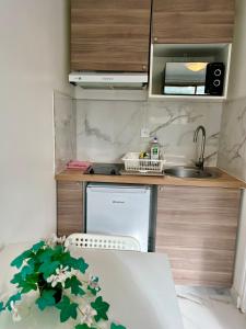 a small kitchen with a sink and a counter at Chemin de fer adorable appartement in Gagny