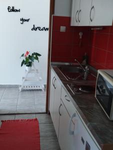 a kitchen with a sink and a vase of flowers on a ladder at Apartmani Zara & Duje in Bibinje