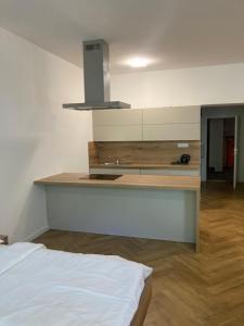 a kitchen with a counter and a bed in a room at Hotel Zámeček na Čeladné in Čeladná +91 photos