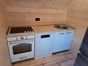 a small kitchen with a stove and a sink at Brvnara Nikolija in Šavnik