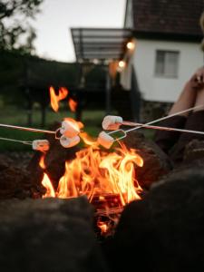 a person is roasting marshmallows over a fire at Cserháti Házikó in Alsótold